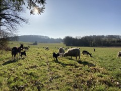Ferme de Kergoran Ferme de Kergoran